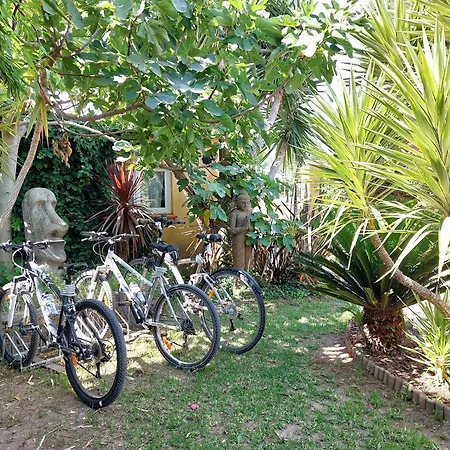 La Maison De Coco 120m2 A 400 M De La *